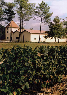 historique du chateau lafon